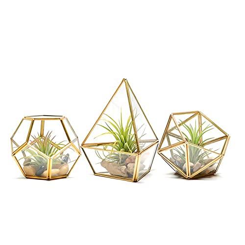 BAERRYNA Tabletop Geometric Glass Terrarium - Modern Gold DIY Display Box for Succulent Air Plant,Set of 3