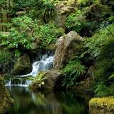 Portland Japanese Garden
