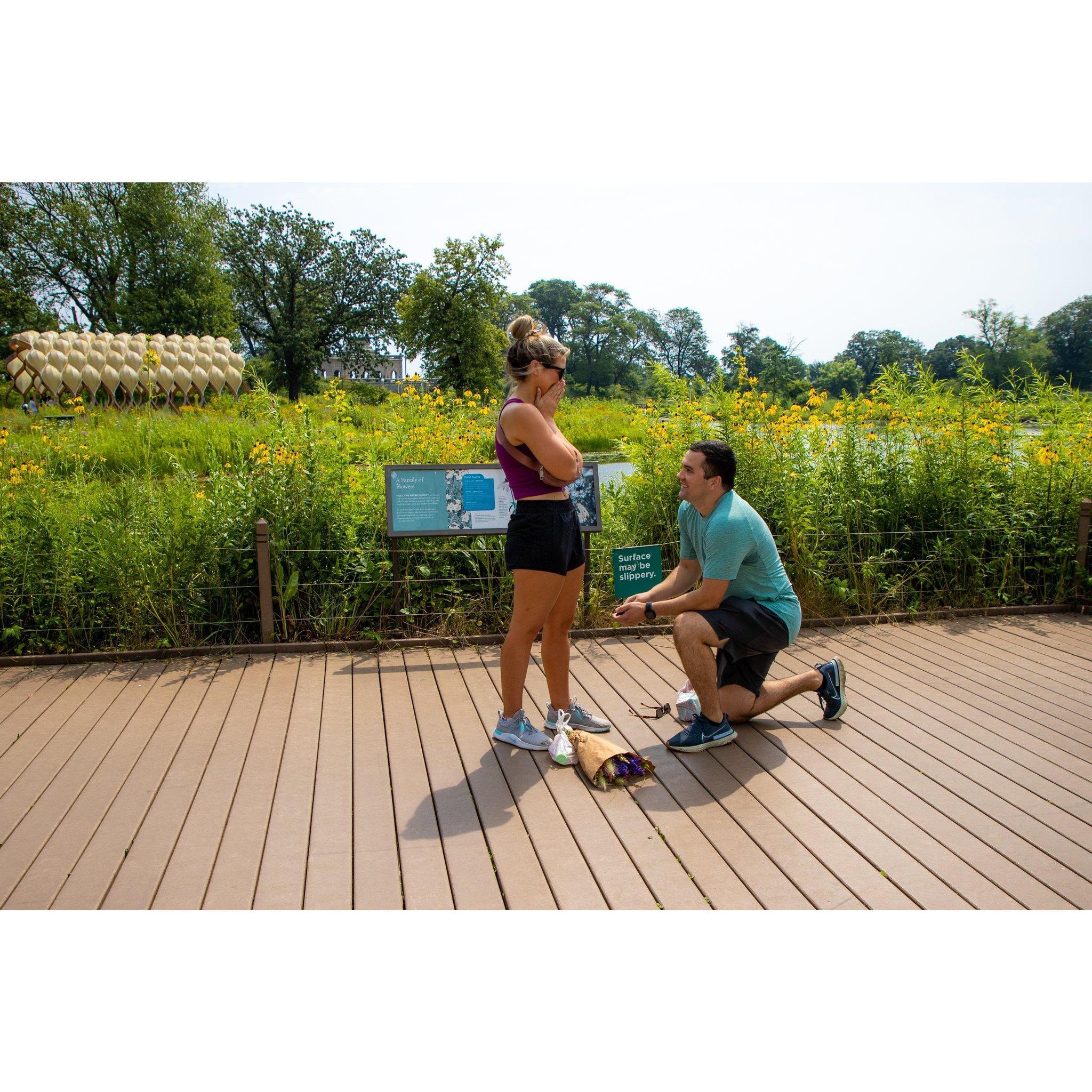 July 24, 2021 - Joe proposes!