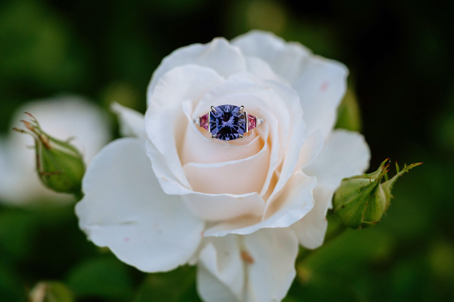 The Wedding Website of Philip Lagas-Rivera and Andrea Charlene Toto
