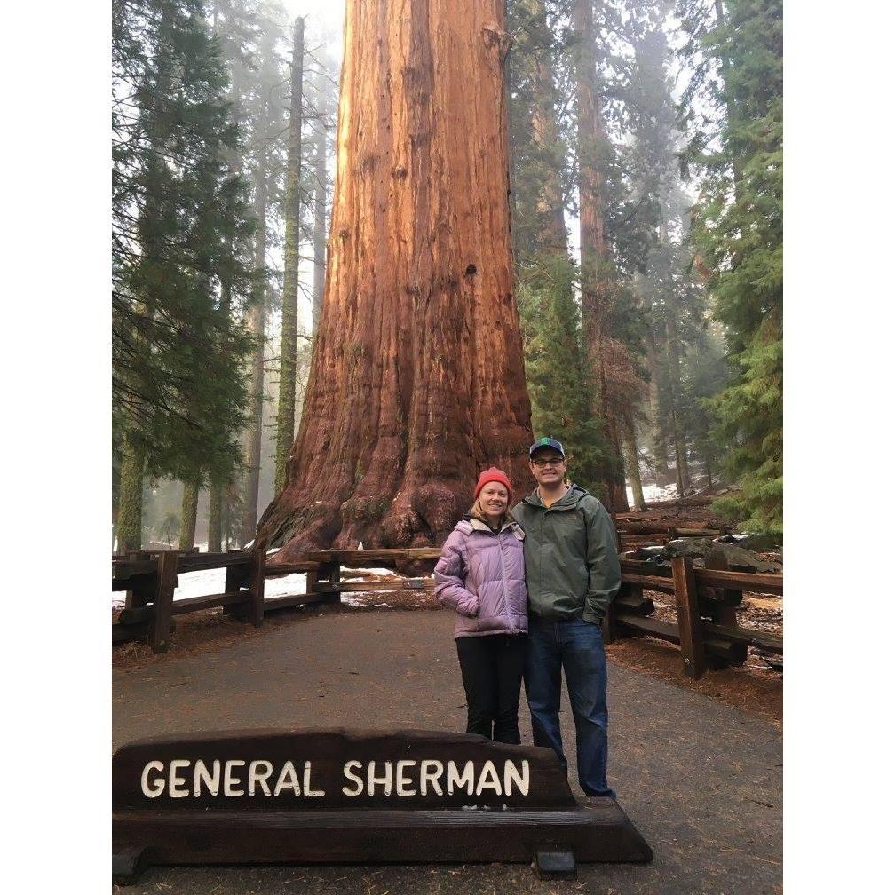 Sequoia National Park