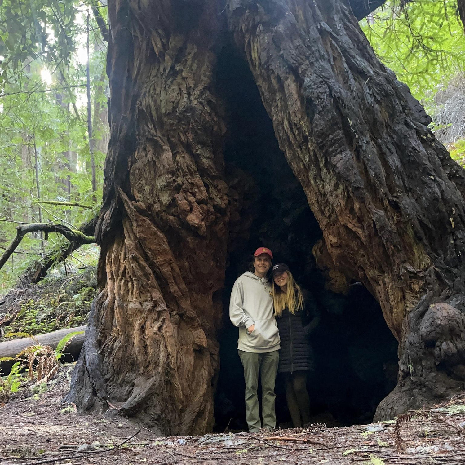 Muir Woods 2023
