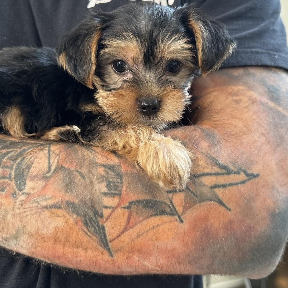 We added Rex to the fam in June 2023!