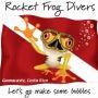 Buceo Rocket Frog Divers