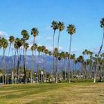 Chase Palm Park