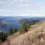 Angel's Rest Trailhead
