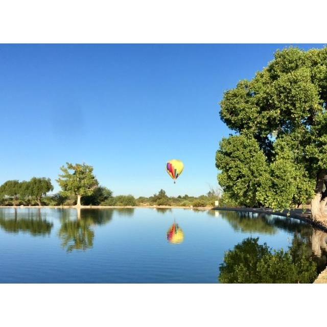 We went to a celebratory brunch after getting engaged and somebody gave us this picture of us in our balloon.