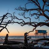 Hunting Island State Park Beach