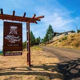 Blind Tiger Vineyards