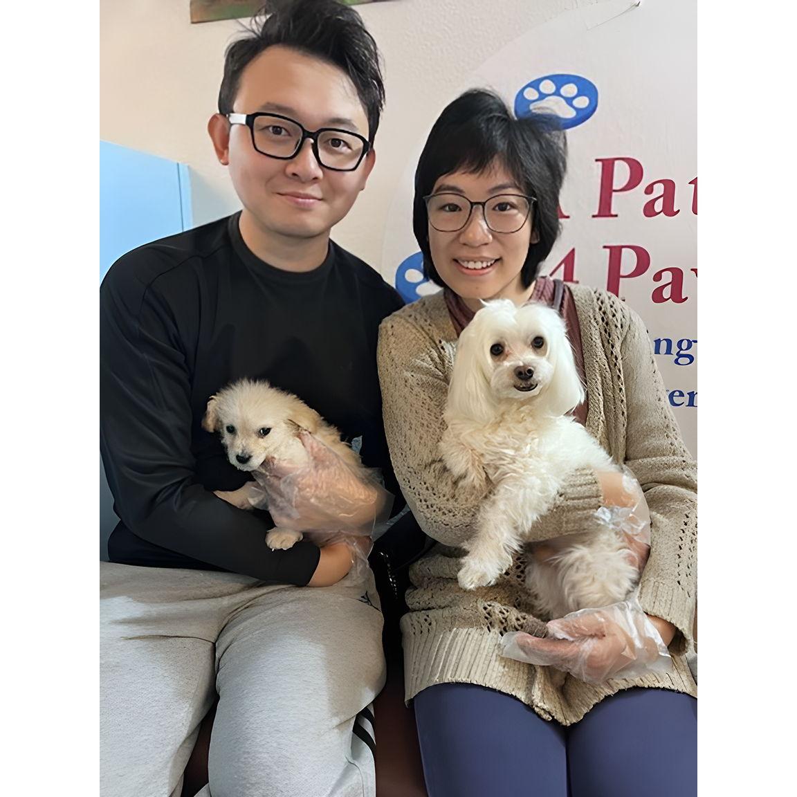 Welcome ChaCha to our family.