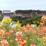 Lady Bird Johnson Wildflower Center
