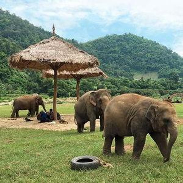 Experiences in Thailand