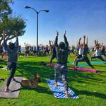 Yoga on the Bluff at Bixby Park