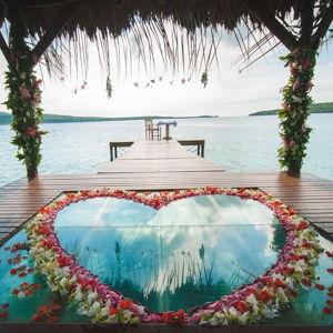 Honeymoon Fund