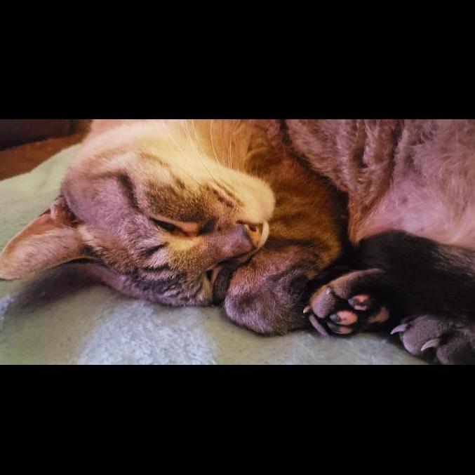 Our first born into our little family!