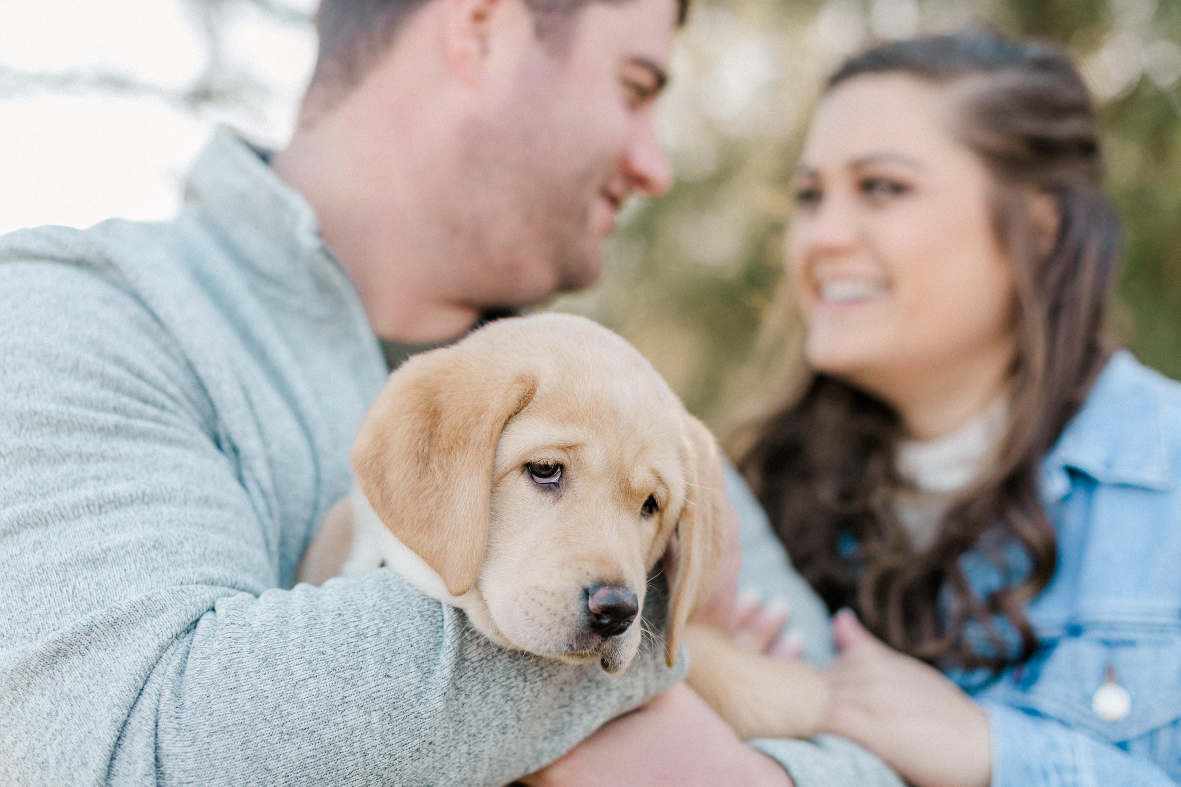 The Wedding Website of Brenda Dutton and Reed Dutton