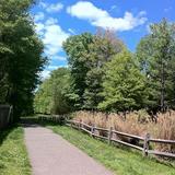 Loantaka Brook Reservation – Trails & Walks