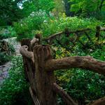 Shakespeare Garden