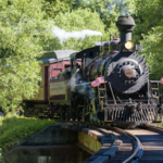The Skunk Train