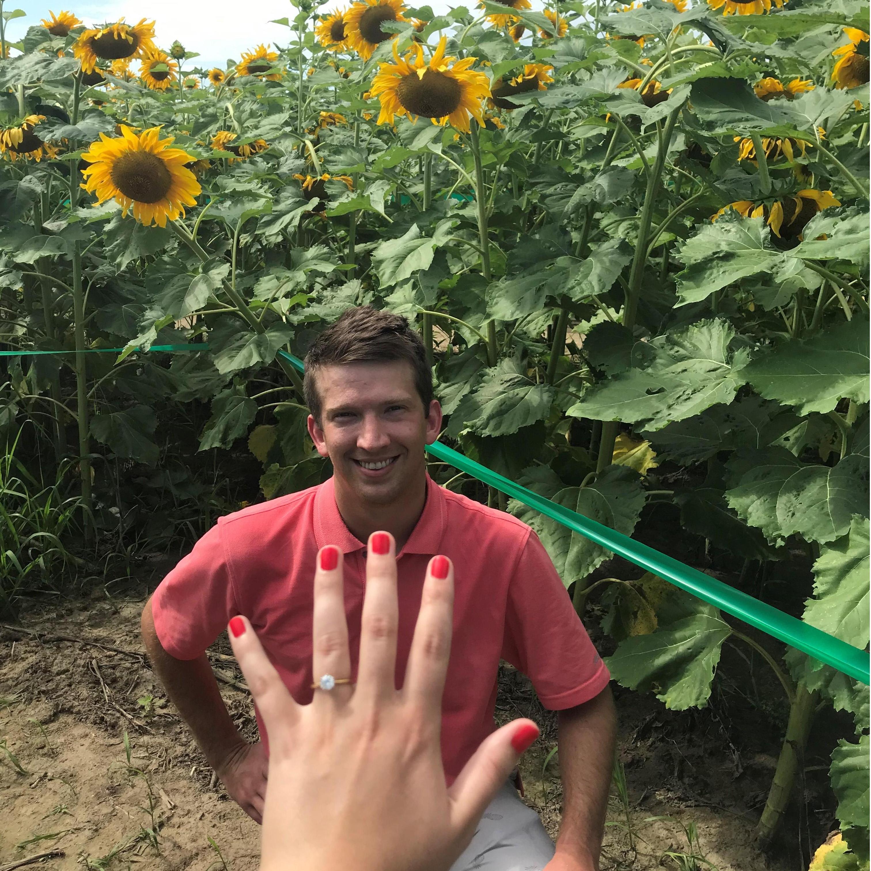 The proposal! July 21, 2019