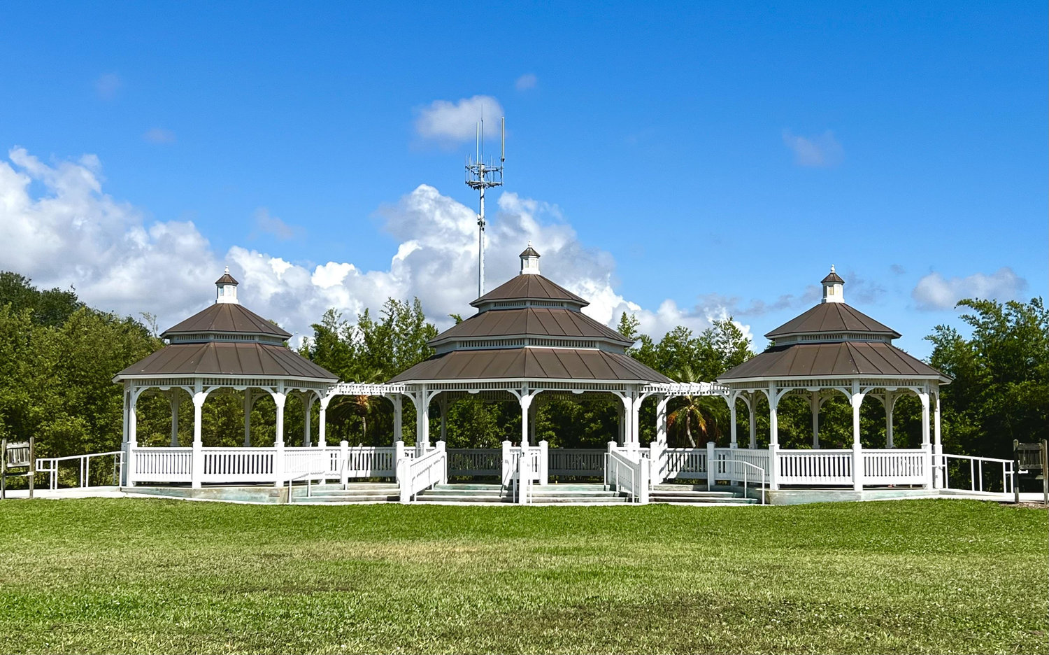 The Wedding Website of Zack De Peppo and Alyssa Bowser