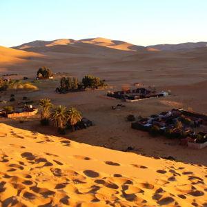 Tour of Atlas Mountains, Bedouin Camp and Camels in the Sahara