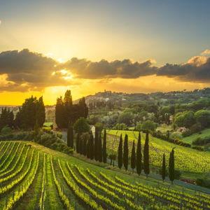 Wine Tasting in Florence
