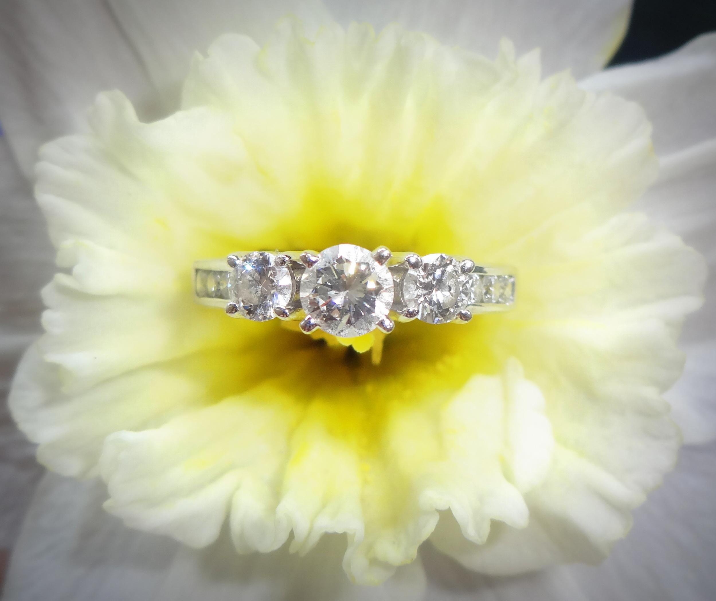 The Wedding Website of Jessica Kaarlsen and Daniel Lonergan