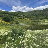 Medium Hike - Rotary Trail