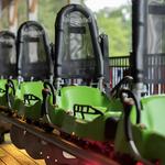 Moonshine Mountain Coaster