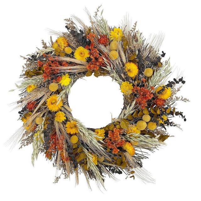 ANDALUCA All Natural Handcrafted Preserved Floral Fall Wreath (California Harvest)