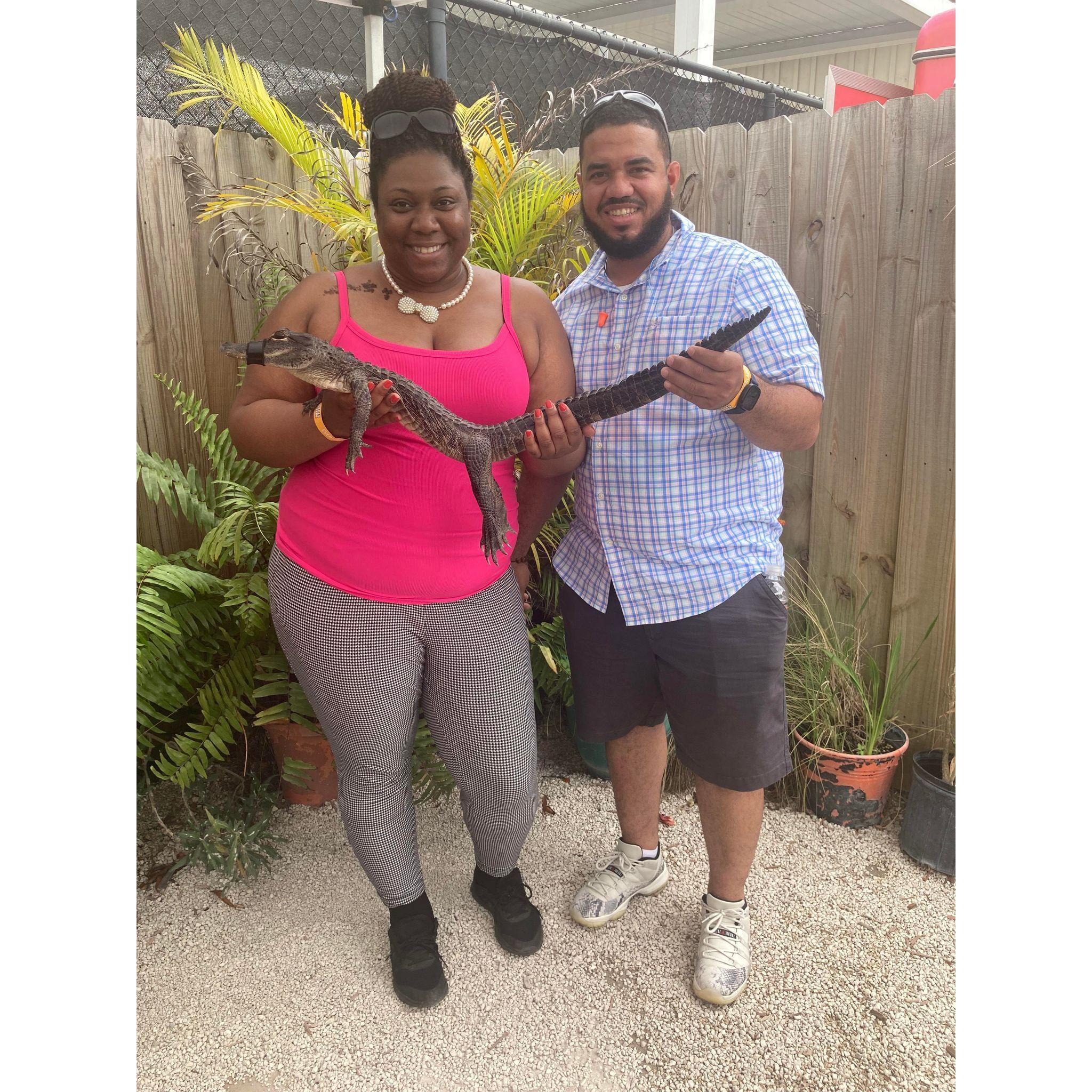 Everglades Holiday Park 2022