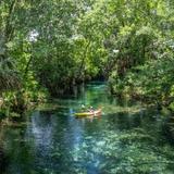 Silver Springs State Park