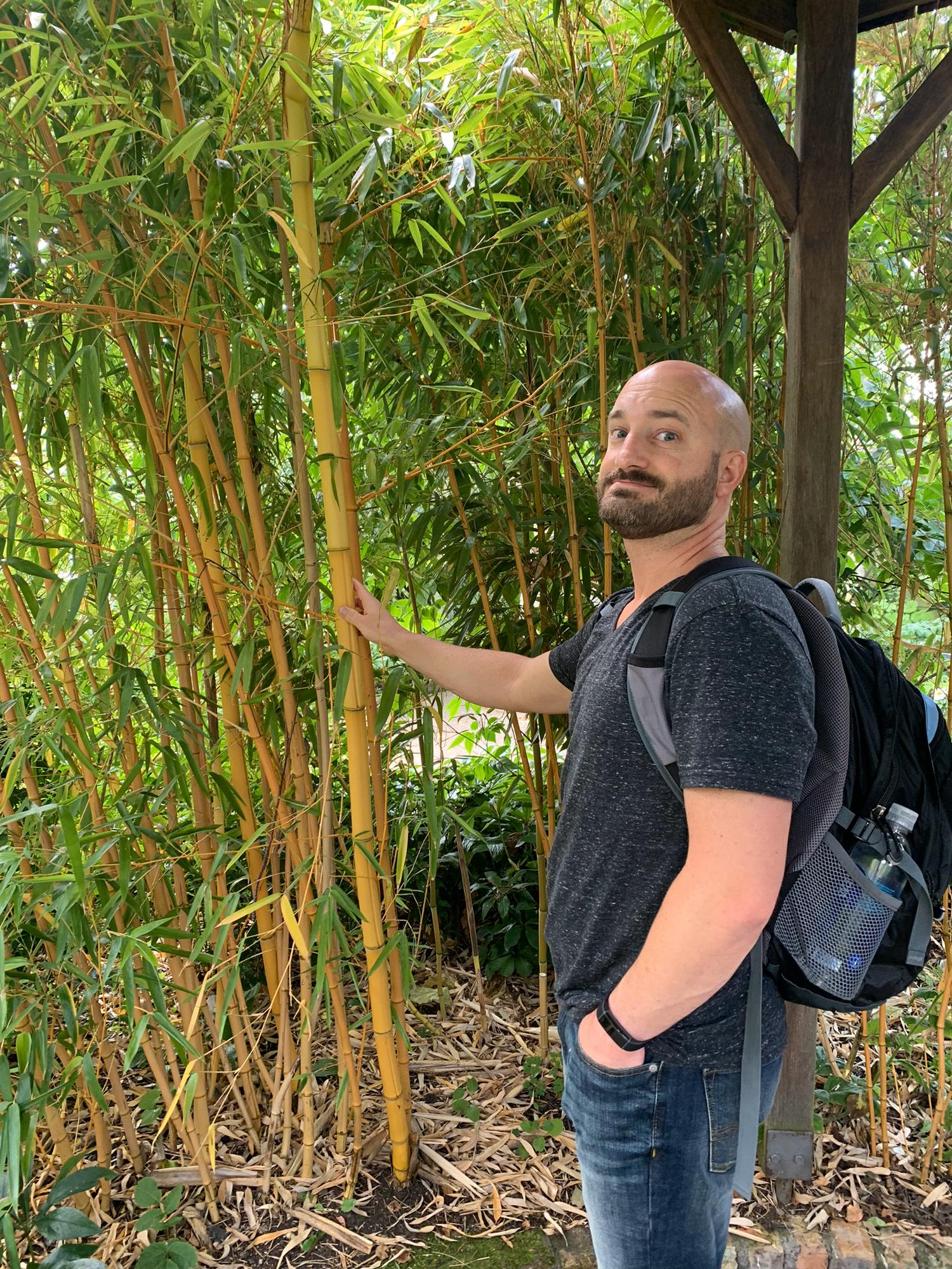 Bamboo!