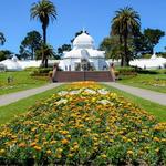 Golden Gate Park