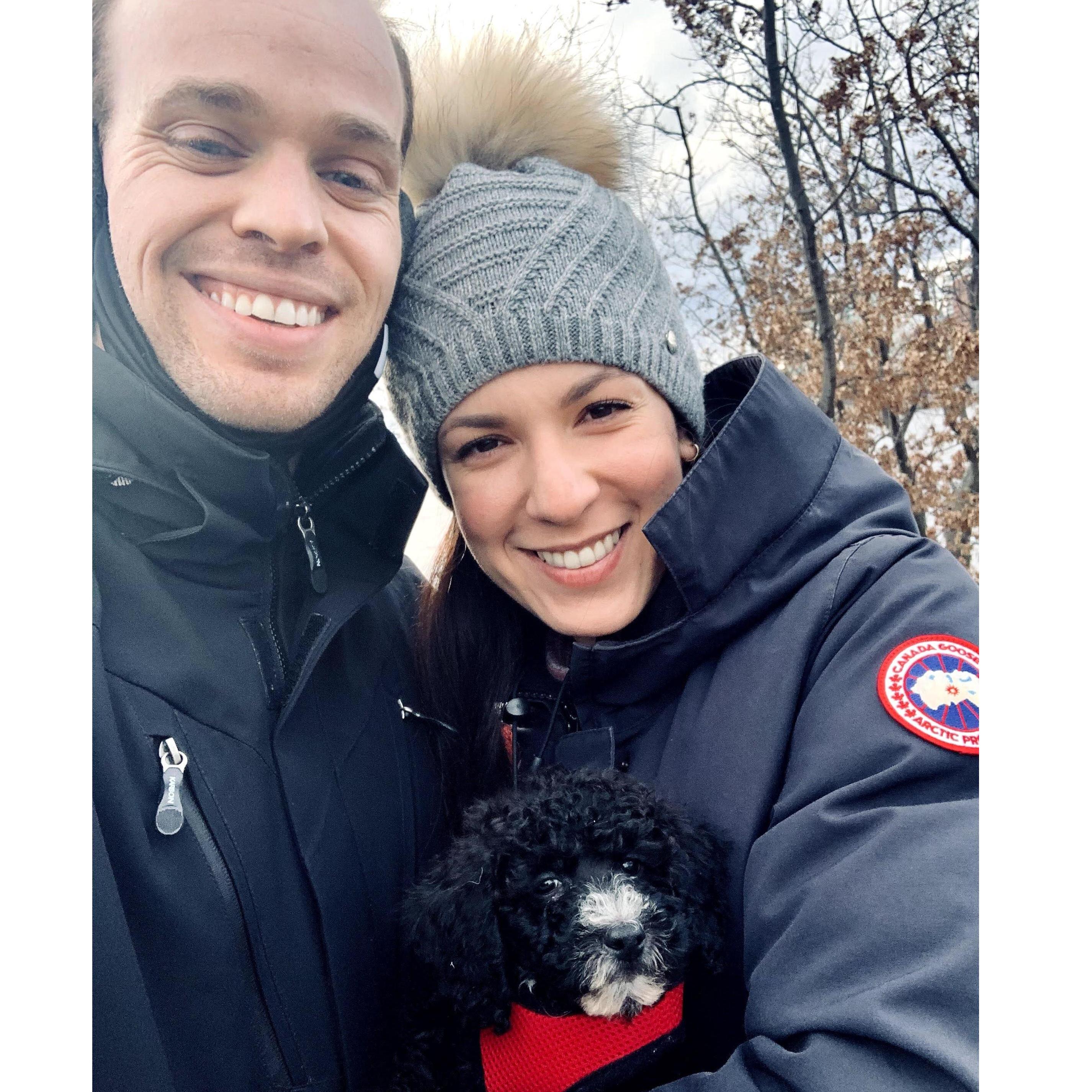 We recently welcomed Oso into our lives! There is never a dull moment with this loving Cockapoo puppy around.