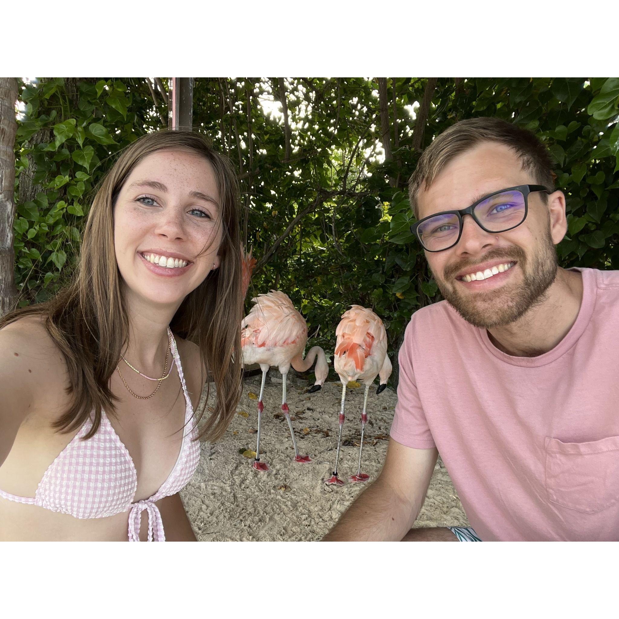 Visiting Flamingo island in Aruba
