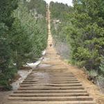 The Incline
