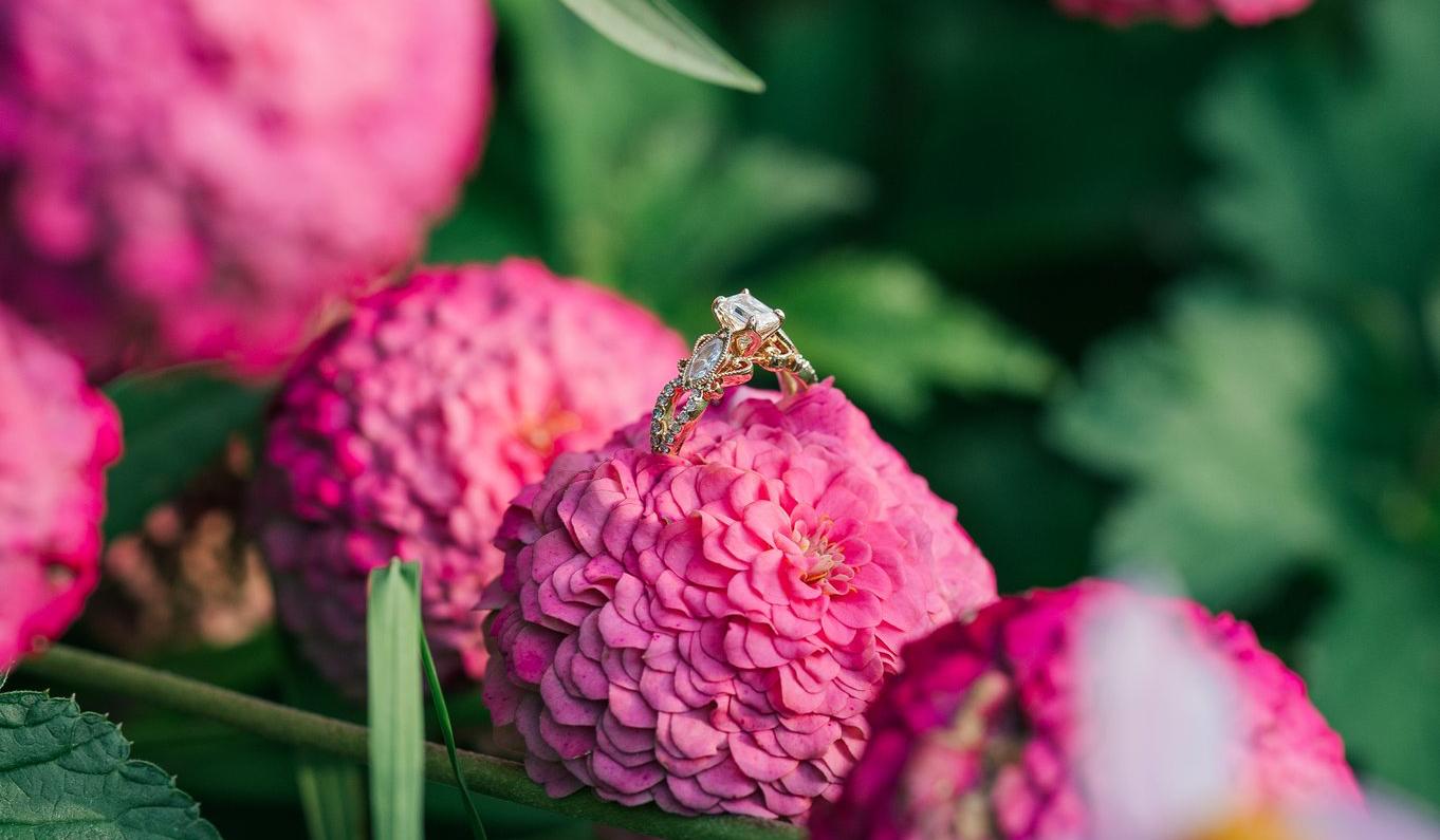 The Wedding Website of Nick Hoffman and Madeline Littlefield
