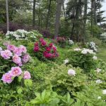 University of Michigan Nichols Arboretum