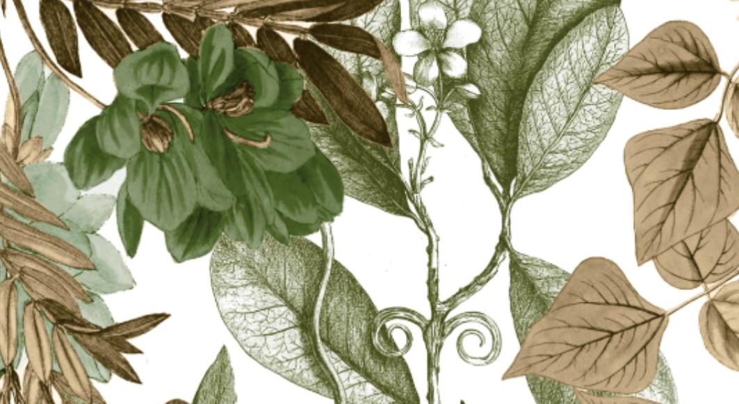 Footer image