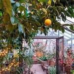 Lamberton Conservatory