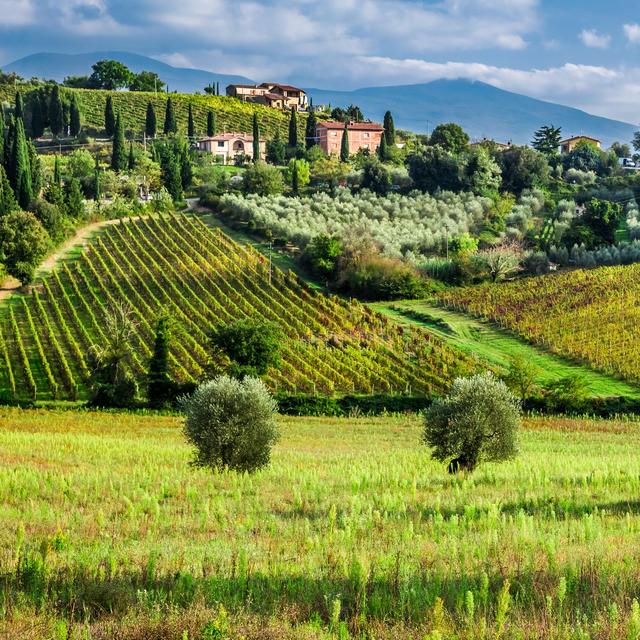 Tuscany Wine Tour