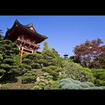 Golden Gate Park