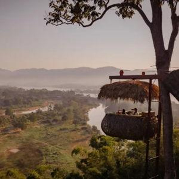 Jungle Treehouse Dining Experience