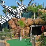 Congo River Golf