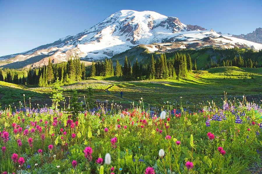 The Wedding Website of Katie Ryan and Toroid Ryan