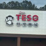 TESO Life/Duluth Area