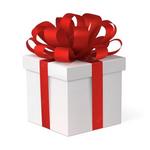 Gift Guide