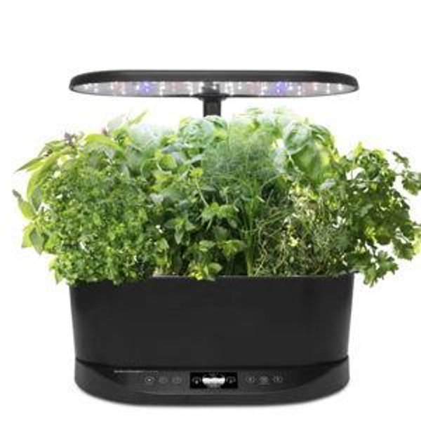 Aerogarden Bounty Basic with Gourmet Herb Seed Pod Kit, color black